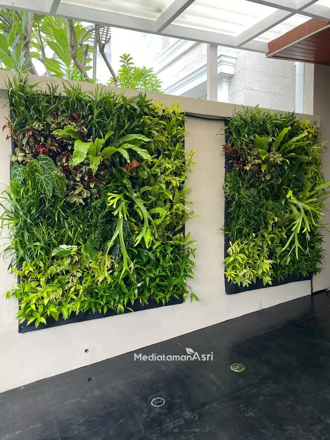 Vertical garden tanaman hidup untuk area outdoor